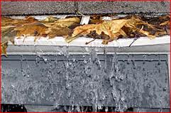 clogged gutter3